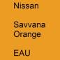 Preview: Nissan, Savvana Orange, EAU.